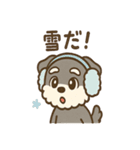 シュナまるの四季のわくわく日常（個別スタンプ：35）