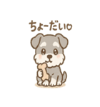 シュナまるの四季のわくわく日常（個別スタンプ：36）