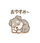 シュナまるの四季のわくわく日常（個別スタンプ：37）