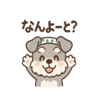 シュナごんの方言でスポーツ応援（個別スタンプ：1）