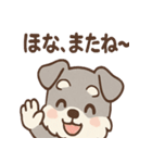シュナごんの方言でスポーツ応援（個別スタンプ：40）