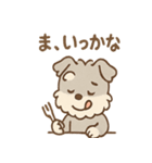 シュナウザーは日々過ごすのだワン（個別スタンプ：4）