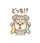 シュナウザーは日々過ごすのだワン（個別スタンプ：36）