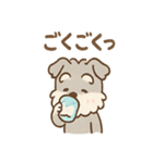 シュナウザーは日々過ごすのだワン（個別スタンプ：38）