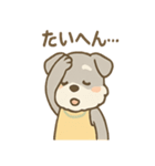 もぐシュナのごちそうスタンプ（個別スタンプ：18）