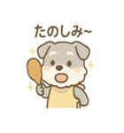 もぐシュナのごちそうスタンプ（個別スタンプ：31）