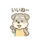 もぐシュナのごちそうスタンプ（個別スタンプ：35）