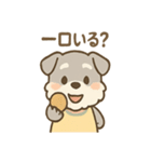 もぐシュナのごちそうスタンプ（個別スタンプ：38）