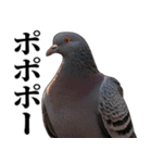 ポポのポポポポ（個別スタンプ：12）
