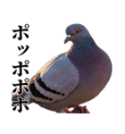 ポポのポポポポ（個別スタンプ：15）
