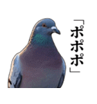ポポのポポポポ（個別スタンプ：16）