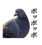 ポポのポポポポ（個別スタンプ：19）