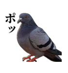 ポポのポポポポ（個別スタンプ：22）