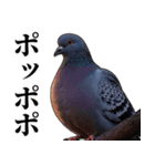 ポポのポポポポ（個別スタンプ：27）