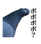 ポポのポポポポ（個別スタンプ：31）
