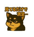 ちょっと太い黒チワワスタンプ（個別スタンプ：12）