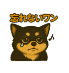 ちょっと太い黒チワワスタンプ（個別スタンプ：15）