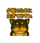 ちょっと太い黒チワワスタンプ（個別スタンプ：18）