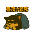 ちょっと太い黒チワワスタンプ（個別スタンプ：19）