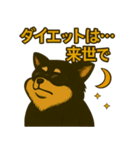 ちょっと太い黒チワワスタンプ（個別スタンプ：24）