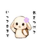 うさぎのよく使う…かわいい（個別スタンプ：2）