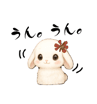 うさぎのよく使う…かわいい（個別スタンプ：16）