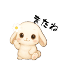 うさぎのよく使う…かわいい（個別スタンプ：17）