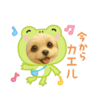 HANI'S 1（個別スタンプ：10）