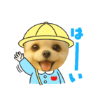 HANI'S 1（個別スタンプ：11）