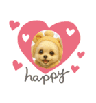 HANI'S 1（個別スタンプ：15）