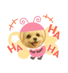 HANI'S 1（個別スタンプ：19）