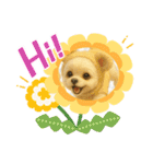 HANI'S 1（個別スタンプ：22）