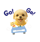 HANI'S 1（個別スタンプ：23）