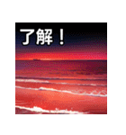 真っ赤な夏の海スタンプ（個別スタンプ：2）