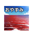 真っ赤な夏の海スタンプ（個別スタンプ：7）