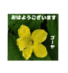 夏の山野草のお花で、日々のご挨拶（個別スタンプ：9）