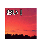真っ赤な夏の空スタンプ（個別スタンプ：19）