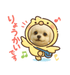 HANI's  スタンプ1（個別スタンプ：2）