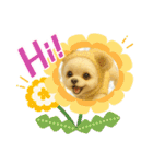 HANI's  スタンプ1（個別スタンプ：7）
