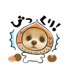 HANI's  スタンプ1（個別スタンプ：16）