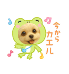 HANI's  スタンプ1（個別スタンプ：19）