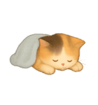 [アレンジ用]まったりにゃんこ（個別スタンプ：6）