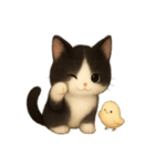 [アレンジ用]まったりハチワレにゃんこ（個別スタンプ：1）