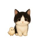[アレンジ用]まったりハチワレにゃんこ（個別スタンプ：5）
