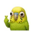 キモブサカワ11(セキセイインコ)（個別スタンプ：1）