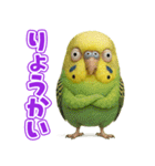 キモブサカワ11(セキセイインコ)（個別スタンプ：2）