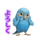 キモブサカワ11(セキセイインコ)（個別スタンプ：4）
