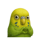 キモブサカワ11(セキセイインコ)（個別スタンプ：5）