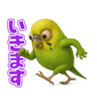 キモブサカワ11(セキセイインコ)（個別スタンプ：7）