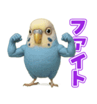 キモブサカワ11(セキセイインコ)（個別スタンプ：9）